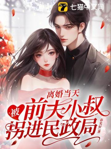 离婚当天被前夫小叔拐进民政局完结了吗