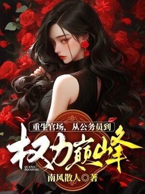 从公务员到权力巅峰南风散人