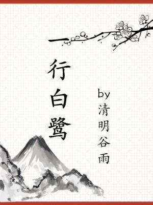 一行白鹭有多少只