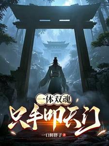 只手叩天门网
