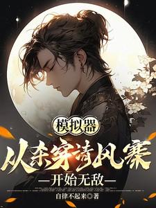 模拟器从杀穿清风寨开始无敌 TXT