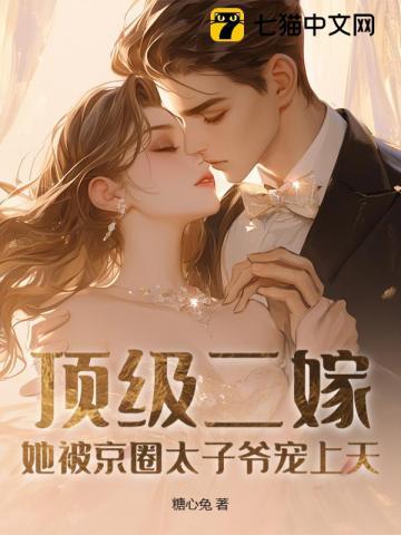 顶级二嫁