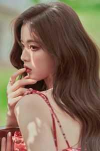 纪芸贺砚辞秦煜言