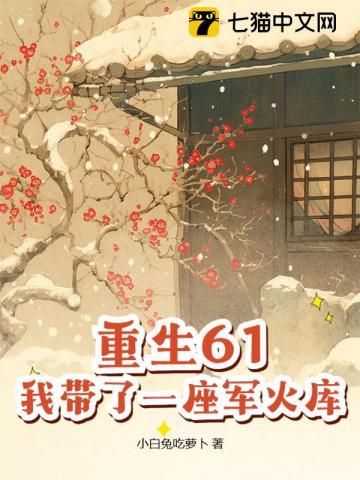 重生61我带了一座军火库免费阅读