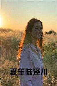 夏妍陆泽阳全文免费阅读