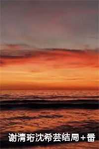 沈希芸谢清珩大结局