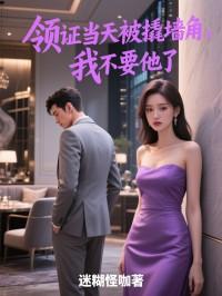 领证前吵架了怎么办?