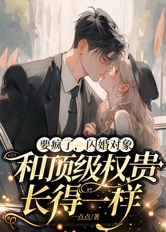 闪婚对象是总裁的