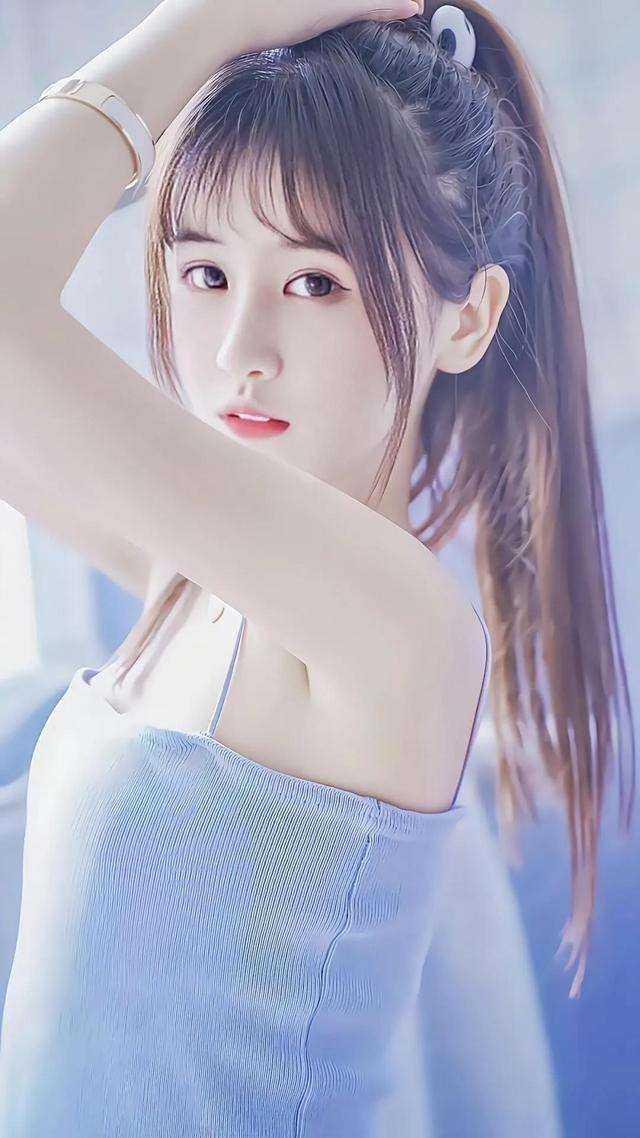 顾怀安苏景阅读目录