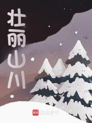 李春鹏个人资料