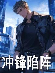 有部男主角叫叶辰苏婉仪