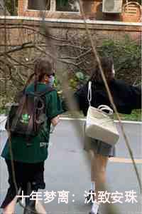 十年归来沈七夜最新章节