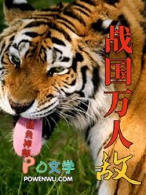 战国万人敌加料版