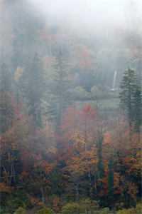 家里的冰箱移动会破坏风水吗