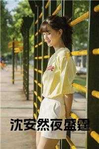 沈安然夜盛霆全文免费