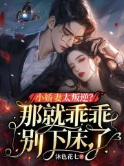 许晚晴和封凌夜全文免费阅读