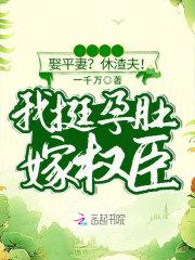 顾西泠叶修全城笑俄守活寡