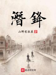 潜锋1-46集全免费播放