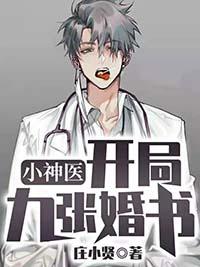 小神医开局九张婚书全本