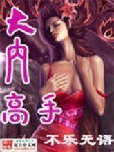 大内高手是什么身份