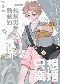 豪门霸总的炮灰男妻