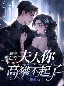 今你老婆也没弯