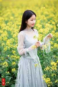 官婿美人香全文免费阅读