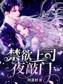 禁欲上司夜敲门书包简介