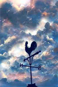 穿越后我靠做饭爆红了