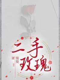 二手玫瑰火车快开