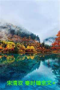 宋清欢免费阅读全文
