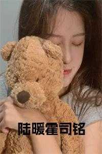 陆暖霍司铭免费阅读