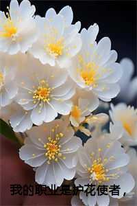 我的护花使者什么意思