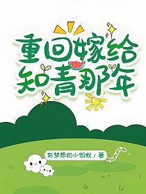 重回嫁给知青那年全文免费阅读无弹