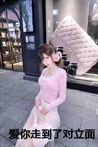 爱你走到了对立面原著叫什么名字