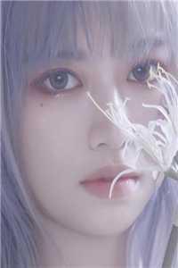 世子夫人和离记全文免费阅读