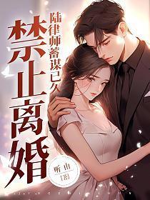 禁止离婚陆律师蓄谋已久华浓陆敬安的相似的