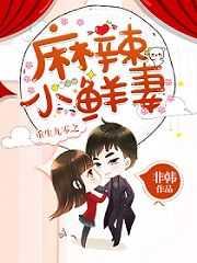 重生九零之麻辣小鲜妻完结