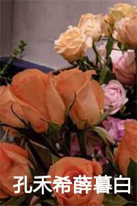 孔禾希薛暮白最新章节更新了吗