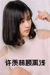 女主叫顾浅男主叫许