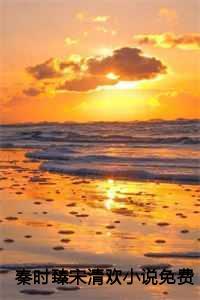 秦时臻宋清欢免费阅读全文最新章节