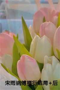 宋雨婉和傅槿衍的