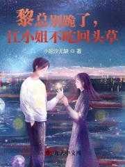 黎小姐是什么电视