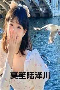 夏笙陆泽川的免费阅读