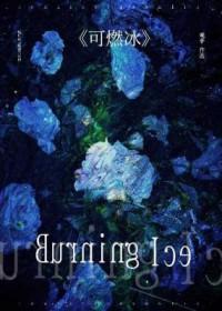 可燃冰和天然气的区别