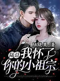 陆总我怀了你的小祖宗短剧免费完整版