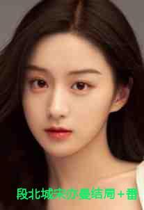 段北辰历史老师简介