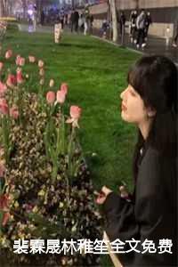 裴湛林诗语免费阅读