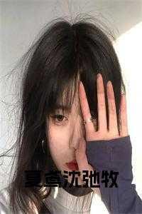 爱不在彼岸沈弛牧夏鸢免费