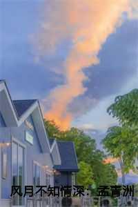 风月不知情深孟青洲盛思雨